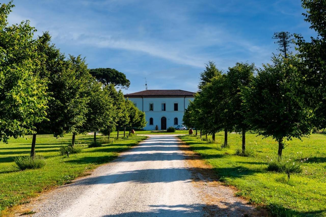 Villa Archi Faenza Exteriér fotografie